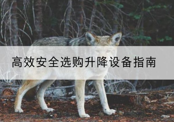 鄠邑升降货梯厂家推荐-*安全选购升降设备指南