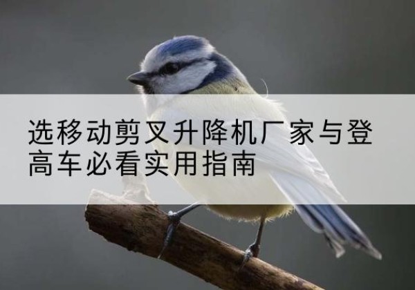 鄠邑电动升降机厂家-选移动剪叉升降机厂家与登高车必看实用指南