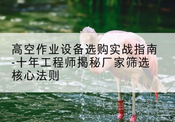 鄠邑剪叉式升降机厂家-高空作业设备选购实战指南-十年工程师揭秘厂家筛选核心法则